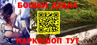 твердый Новодвинск