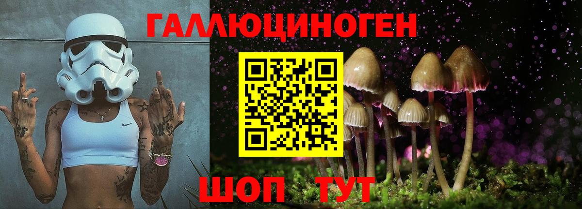 Псилоцибиновые грибы Psilocybine cubensis  Псилоцибиновые грибы Psilocybe  Вход с VPN  Тверь 